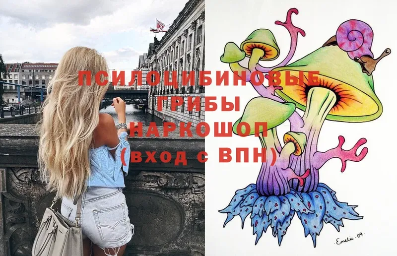 Галлюциногенные грибы MAGIC MUSHROOMS  Ногинск 